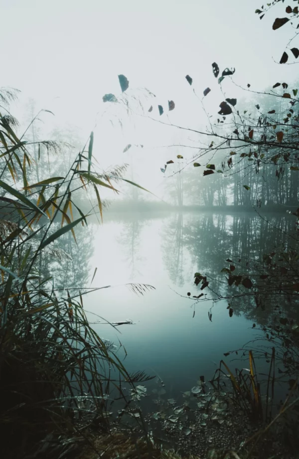 ToF Fotobehang landschap meer met mist