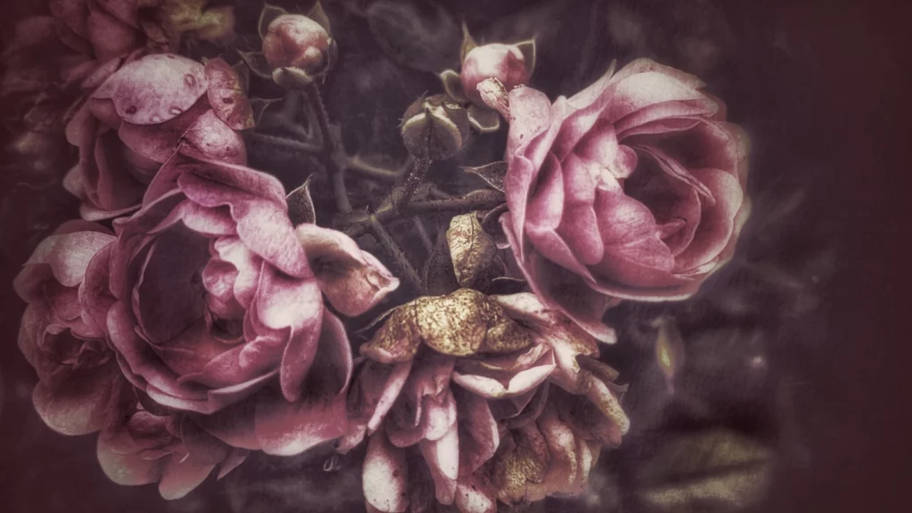 ToF Fotobehang pioenroos vintage