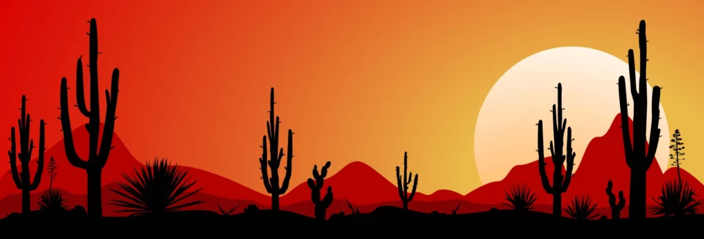 ToF Behang cactus zonsondergang Mexicaanse woestijn