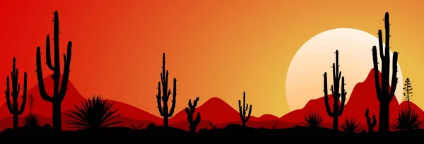 ToF Behang bloemen zonsondergang Mexicaanse woestijn