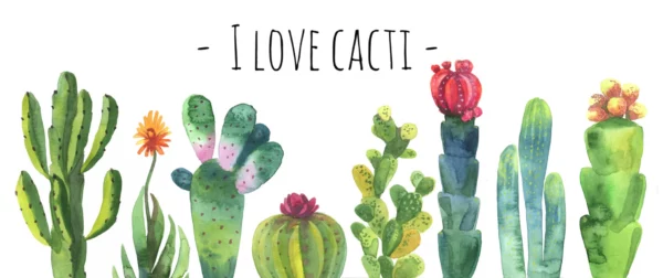 ToF Behang bloemen cactus aquarel collectie set