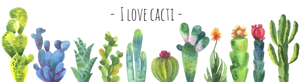 ToF Behang planten cactussen geïsoleerd op wit