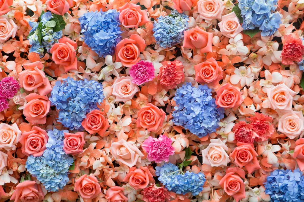 ToF Fotobehang bloesem romantisch