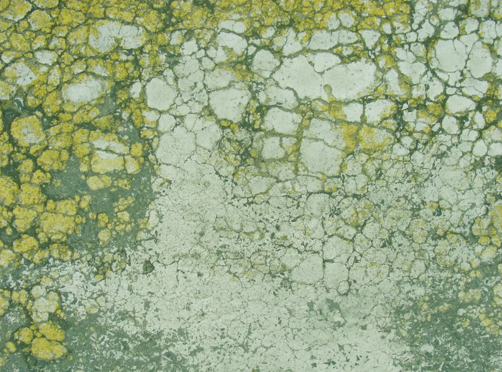 ToF Behang groen geel met gebroken verf