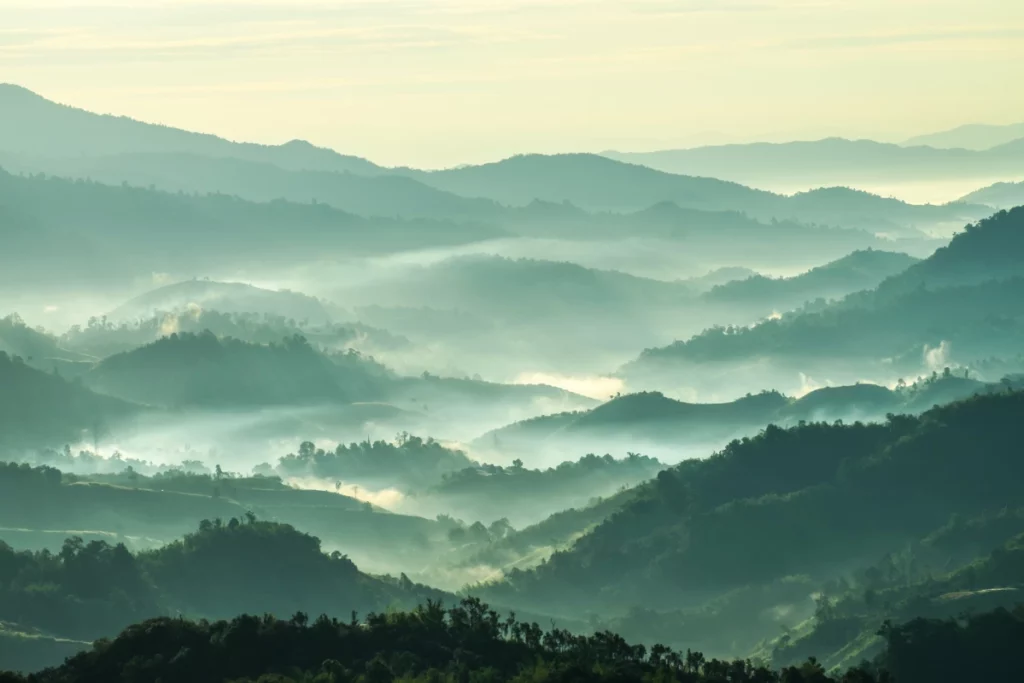ToF Fotobehang bergen landschap in ochtendzon en mist