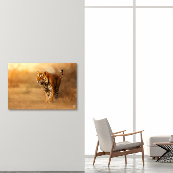 ToF Wanddecoratie tijger